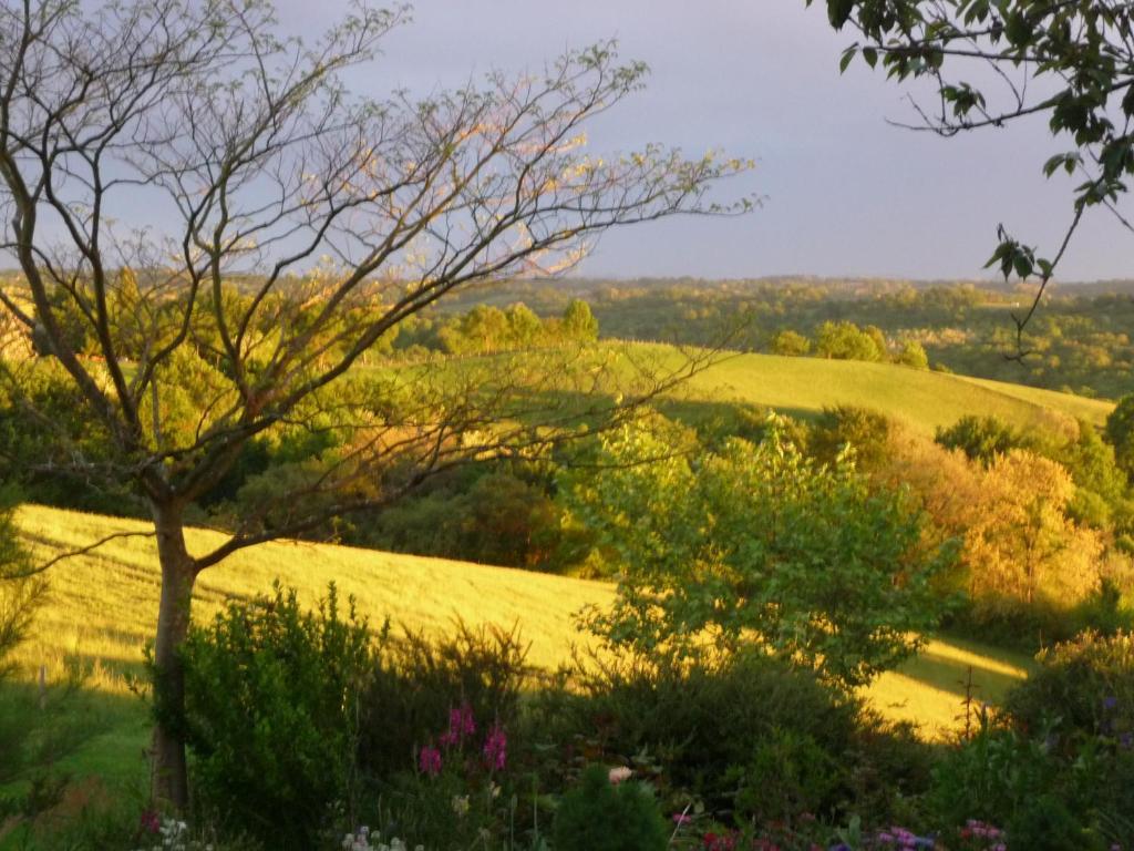 Maison Artigouha Bed and Breakfast Loubieng Zewnętrze zdjęcie