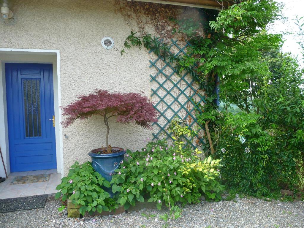 Maison Artigouha Bed and Breakfast Loubieng Zewnętrze zdjęcie